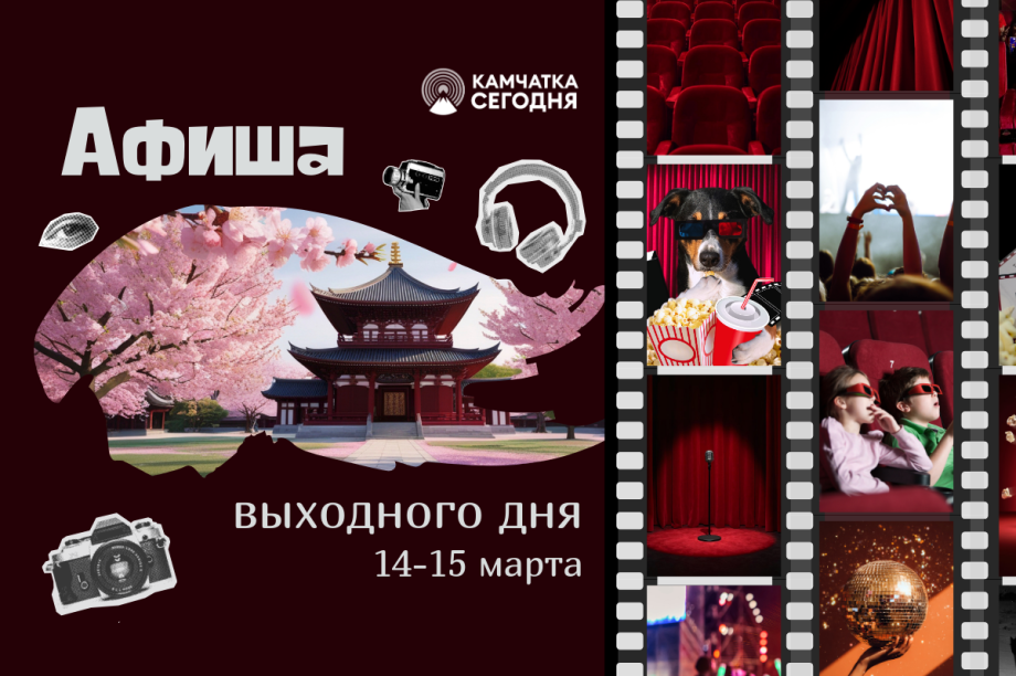 Молдавская весна, азиатские фонарики, кошачий мир и северный олень: выходные с «Камчатка Сегодня». Фото: ИА "Камчатка"