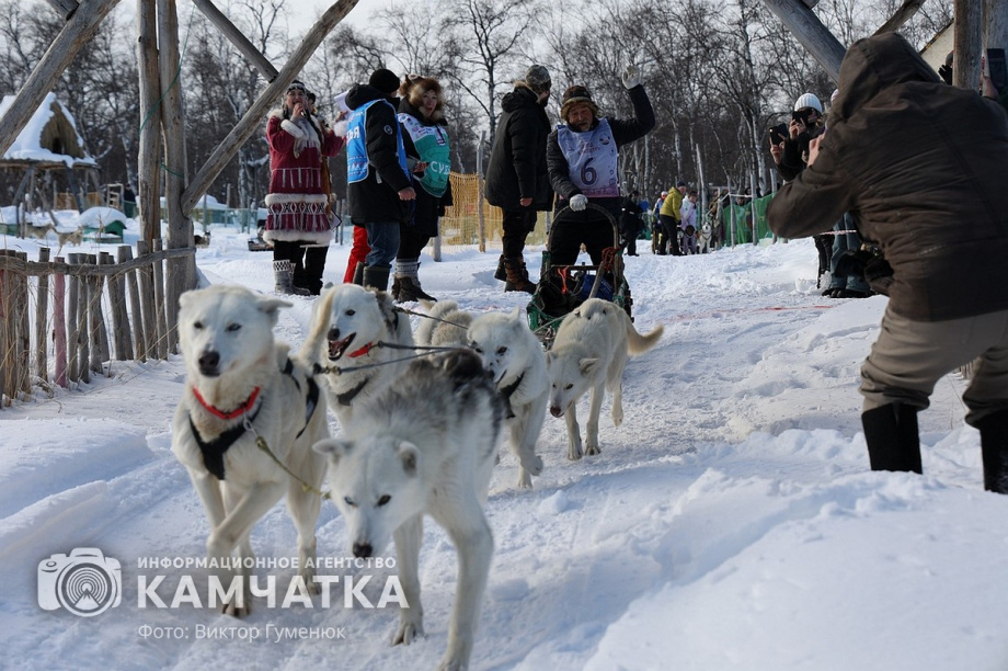 Гонка на собачьих упряжках «Хальч Тхсаном». Фоторепортаж  . Фото: Виктор Гуменюк. Фотография 25