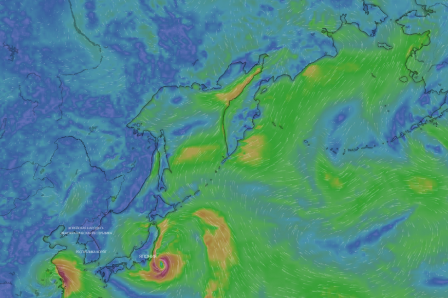 Синоптик: «Тайфун «Непартак» не подойдёт к Камчатке». Скрин с windy.com
