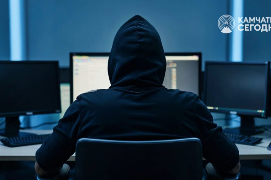 На Дальнем Востоке зафиксировали более 20 тыс DDoS-атак с начала года. 