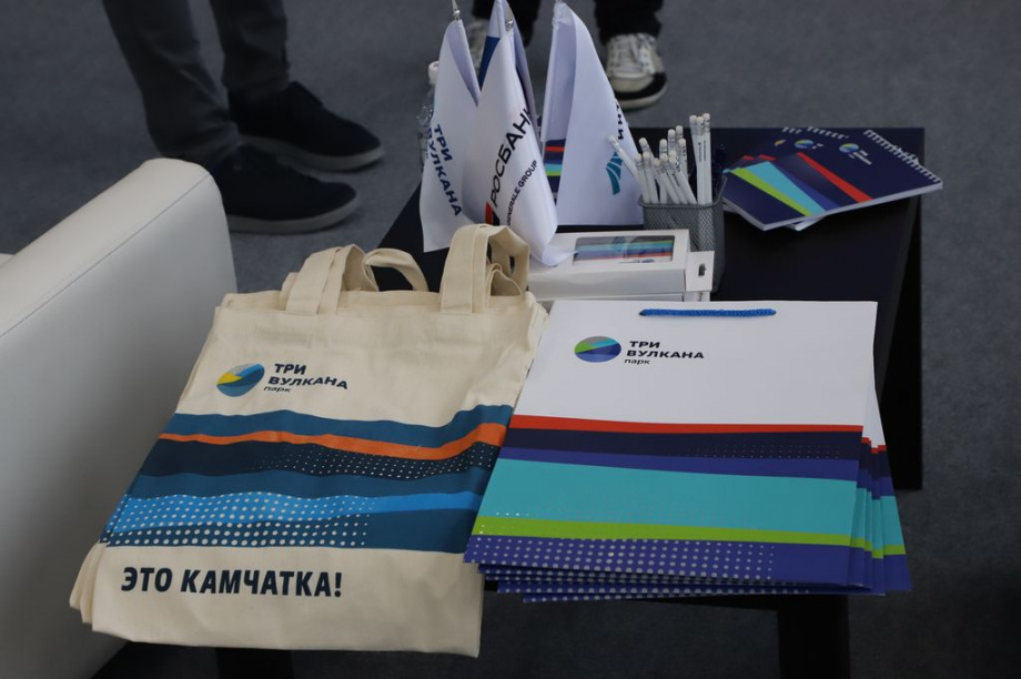 Восточный экономический форум. Фоторепортаж. Фото: Виктор Гуменюк\ИА "Камчатка". Фотография 17