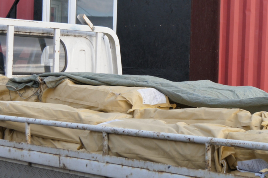 Для питомников ездовых собак на Камчатке, было заготовлено около 70 тонн рыбных голов. Фото: kamgov.ru. Фотография 3