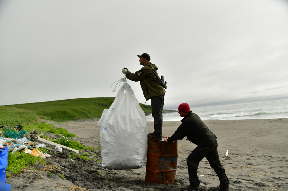 Ученые выяснили, какой вид мусора угрожает морским животным Камчатки. . Фотография 1