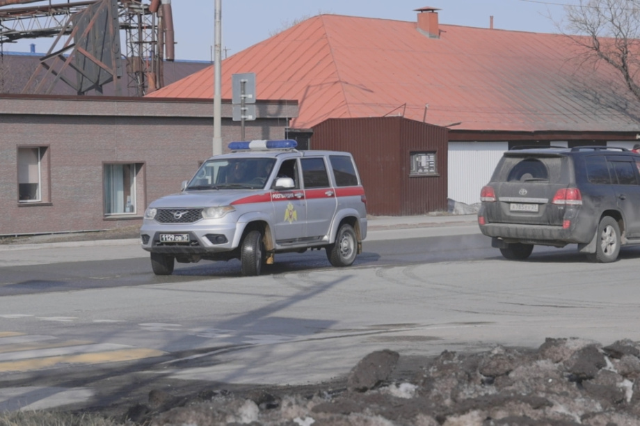 Медведь на Камчатке вышел к Култучному озеру . Фото: ИА "Камчатка", kamgov.ru. Фотография 3