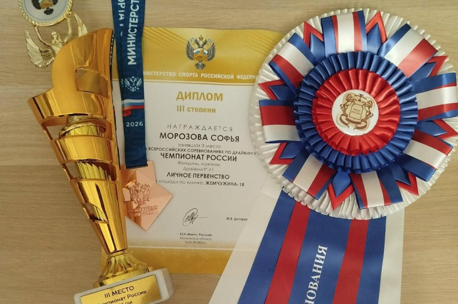 Камчатская наездница Софья Морозова завоевала бронзу чемпионата России по драйвингу. Фото: Федерация конного спорта России. Фотография 4