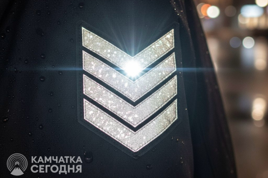 «Пешеход, будь заметен!». Фото: ИА "Камчатка"