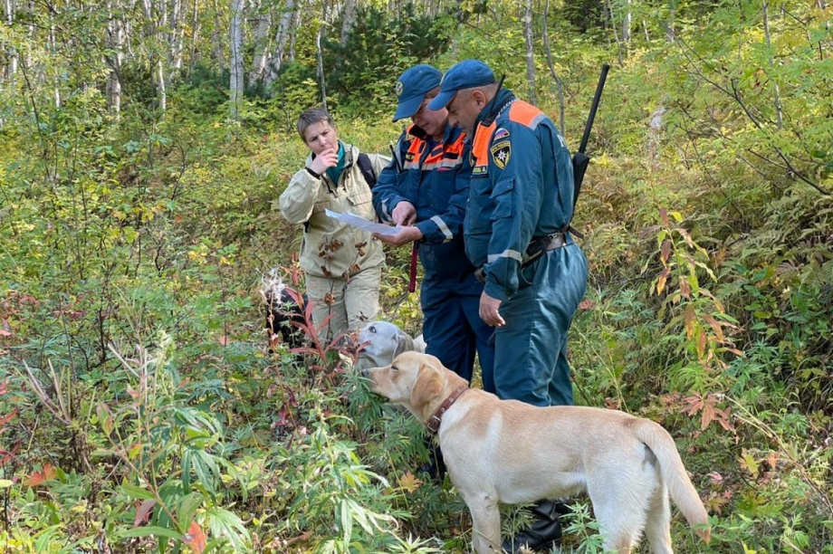 На Камчатке пятый день ищут пропавшего в лесу пенсионера. Фото: 41.mchs.gov.ru. Фотография 8