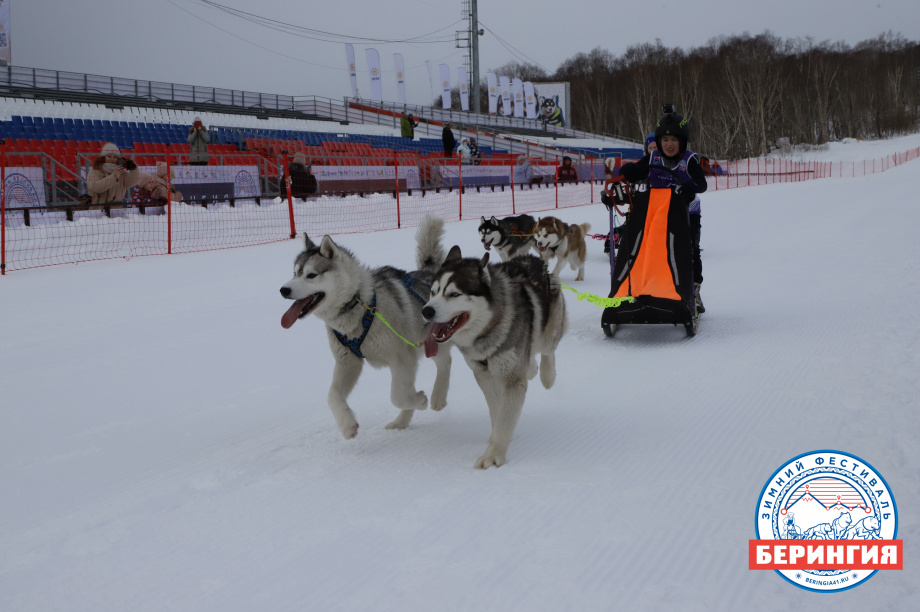 «Дюлин-2021». Фото: Виктор Гуменюк. Фотография 112