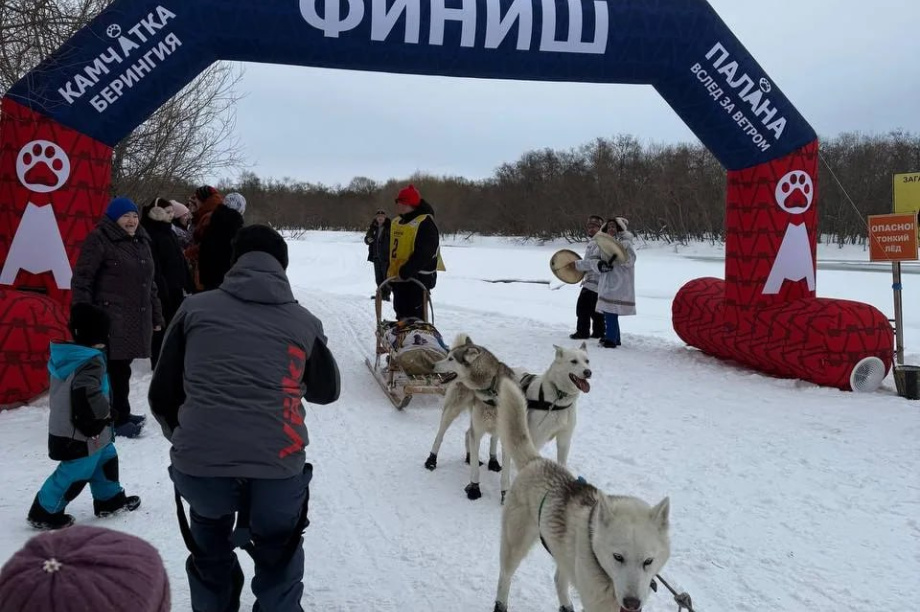 Камчатская «Берингия-2026» добралась до Паланы. Фото: Юлия Воронова. Фотография 5