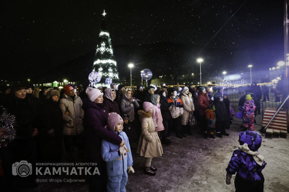 Новогодняя ночь в Петропавловске-Камчатском (фоторепортаж). . Фотография 10