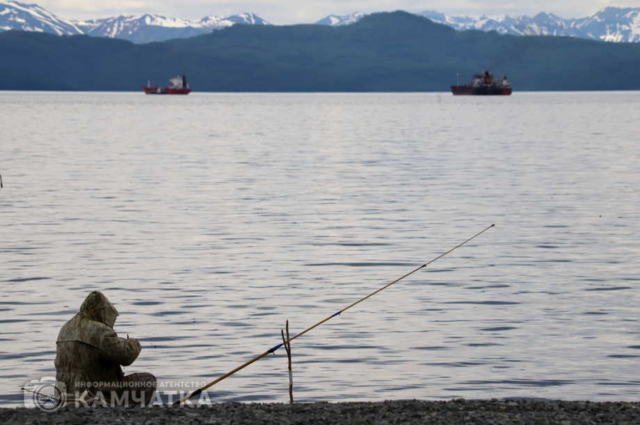 Традиционный фестиваль «Сохраним лососей вместе» пройдёт на Камчатке в августе. Фото: Виктор Гуменюк