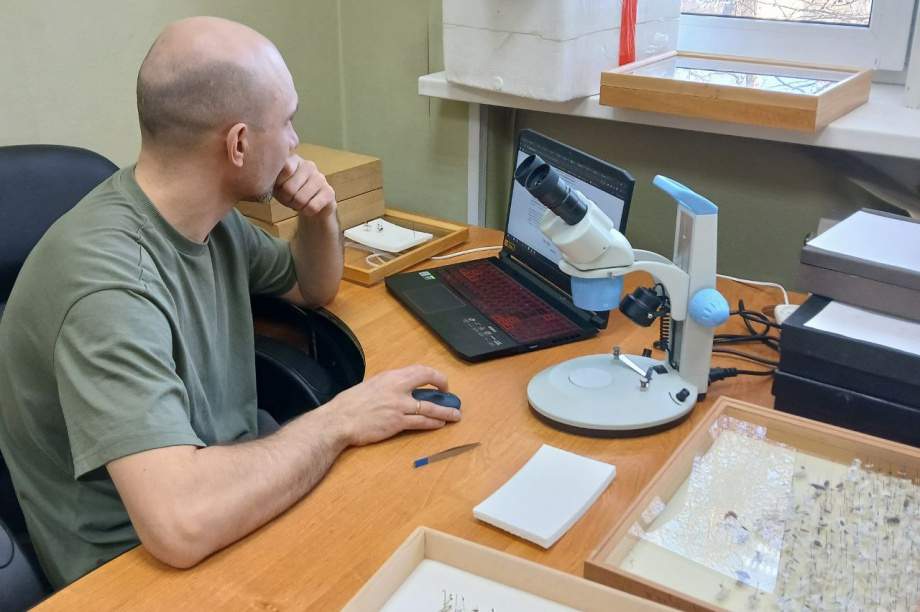 Научные исследования заповедников «Кроноцкий» и «Заповедная Мордовия»: сотрудничество на благо природы. Фото: пресс-служба «Кроноцкий государственный заповедник». Фотография 2