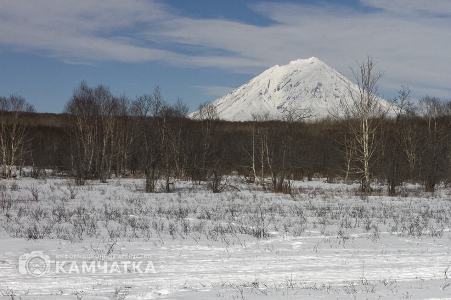 На фестивале «Снежный путь» и Масленице (фоторепортаж). Фото: ИА «Камчатка» \ Игорь Сафончик. Фотография 5