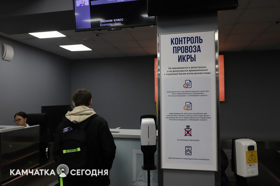 Эксперимент по ограничению провоза икры стартовал на Камчатке. Фоторепортаж. Фото: Виктор Гуменюк\ИА "Камчатка". Фотография 11