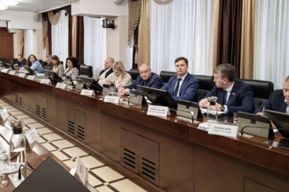Депутаты Камчатского края предложили выделить дополнительные средства на восстановление птицефабрики «Пионерское» в 2025 году. Фото: Заксобрание Камчатского края. Фотография 3
