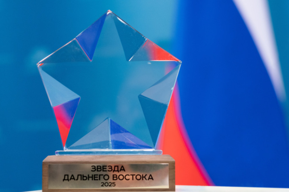 Более 150 проектов претендуют на награду «Звезда Дальнего Востока». Фото: kamgov.ru