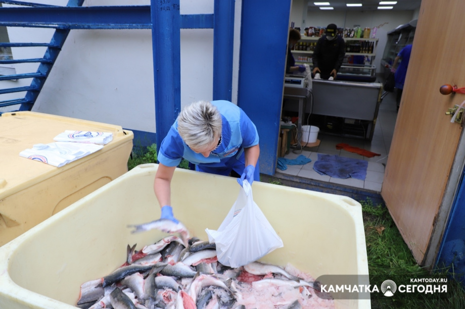Охлажденная горбуша на прилавках Камчатки. Фото: Виктор Гуменюк / информационное агентство "Камчатка". Фотография 2