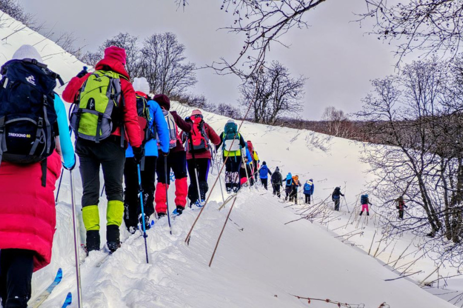 Активный отдых на Камчатке немыслим без лыжных походов . Фото: ТГ-канал турклуба «Медведь». Фотография 2
