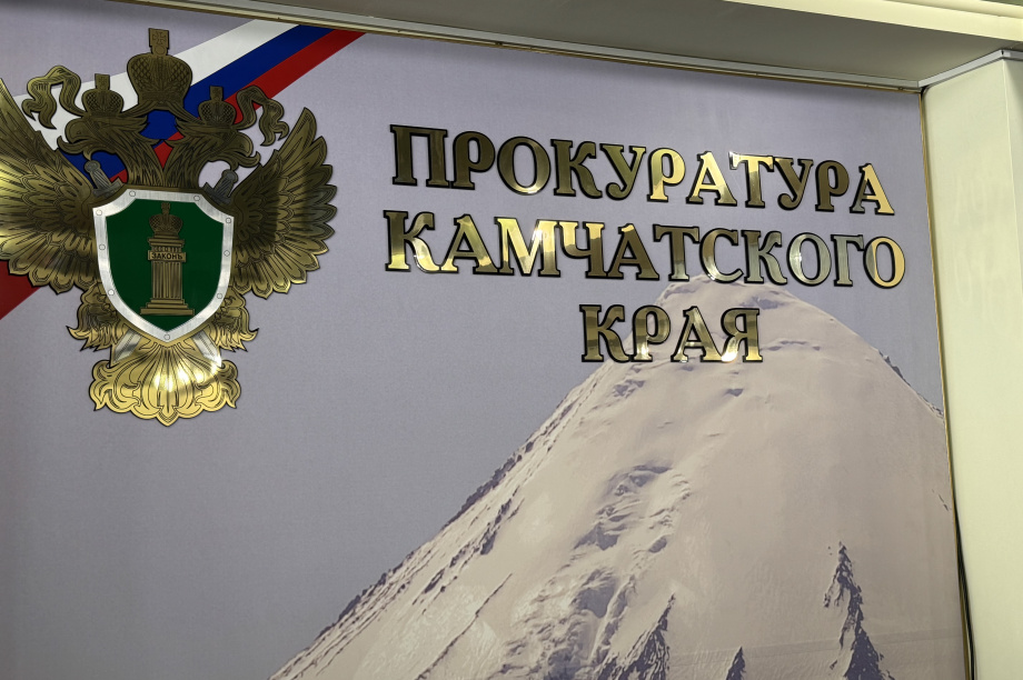 На Камчатке под суд пойдет любитель куриных окорочков. Фото: ИА "Камчатка"
