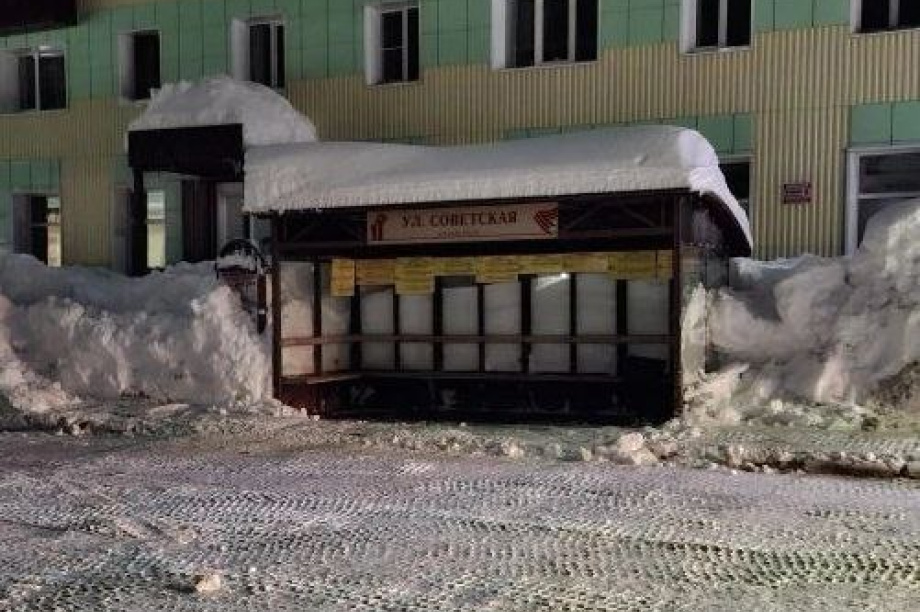 В мэрии разъяснили, по какому принципу Петропавловск-Камчатский расчищают от снега . Фото: ПКГО официальные новости. Фотография 5