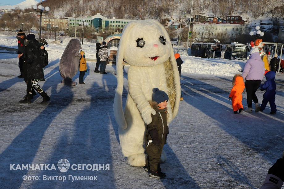Новогодние огни зажгли на главной елке Камчатки. Фоторепортаж. Фото: Виктор Гуменюк. Фотография 22