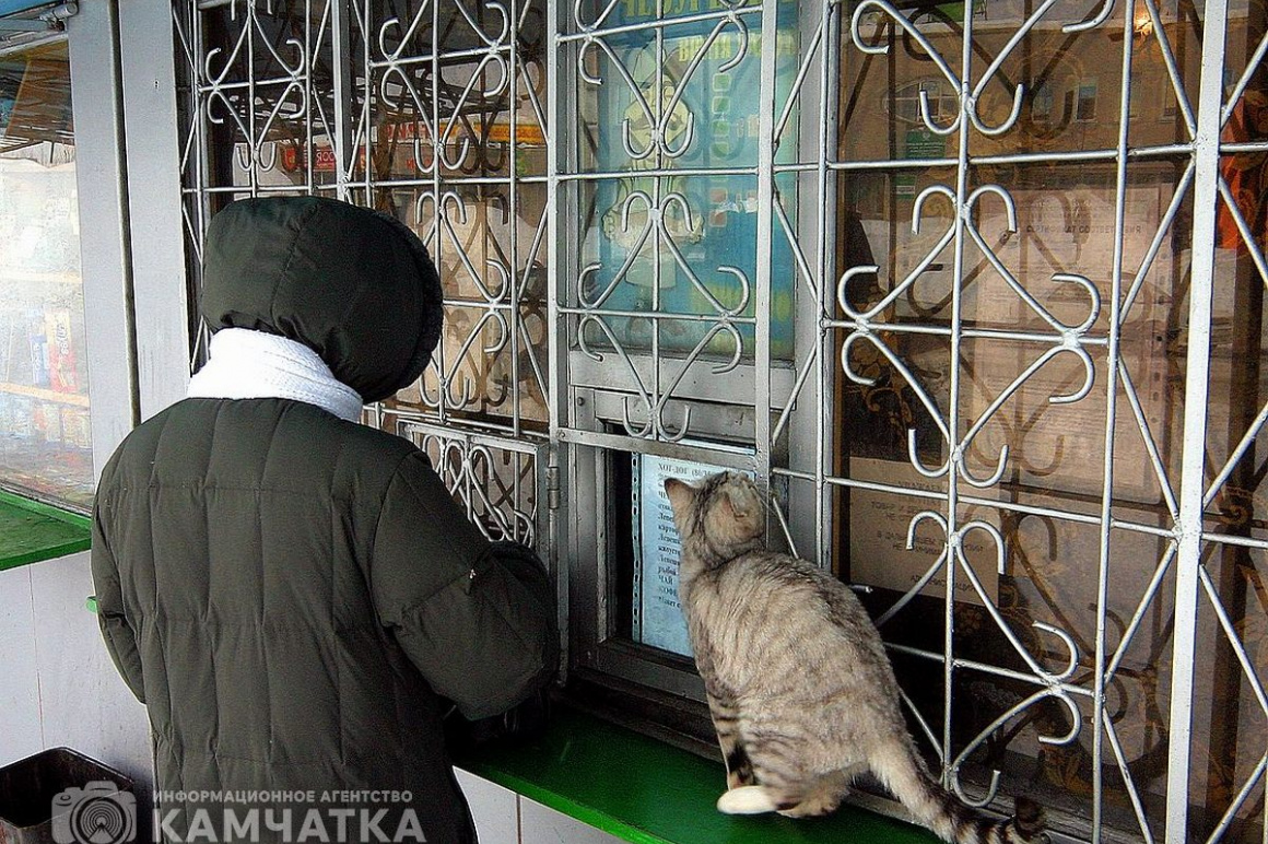 Тридцатого ноября — Всемирный день домашних животных  (фотоподборка камчатских питомцев). Фото: Виктор Гуменюк. Фотография 13