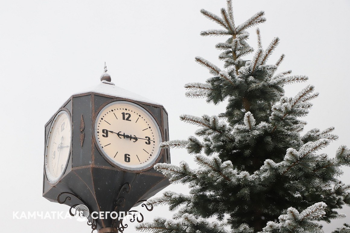 Первый снег выпал в столице Камчатки. Фоторепортаж. Фото: Виктор Гуменюк\ИА "Камчатка". Фотография 4