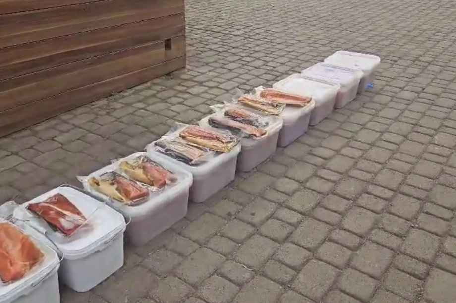 Более 100 килограммов опасной икры и рыбы изъяли у брата и сестры на Камчатке. 