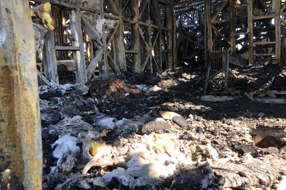 Два человека погибли при пожаре в селе Хаилино. Фото: КГКУ "ЦОД". Фотография 4