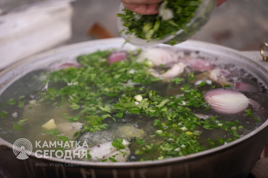 Мотопутешествие словака через всю Россию с остановкой на Камчатке. . Фотография 61