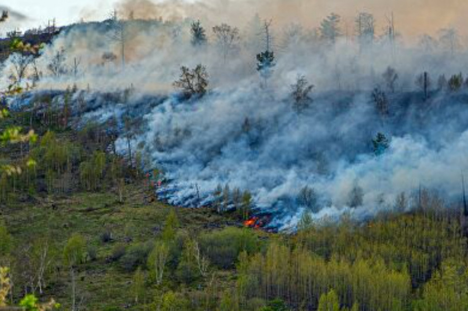 Паводковый и пожароопасный сезон на Дальнем Востоке — готовность номер один. Фото: kamgov.ru