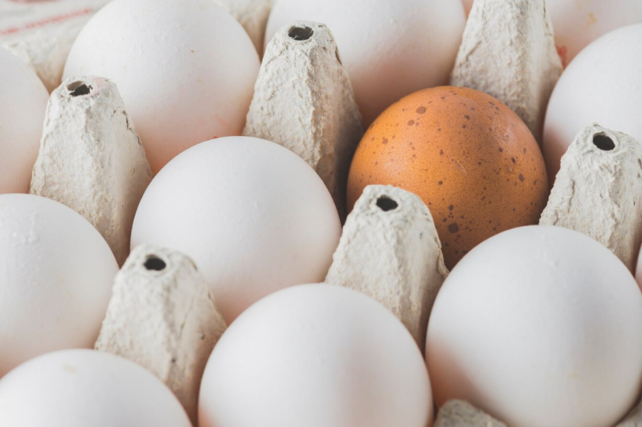 Губернатор Камчатского края Владимир Солодов поручил контролировать цены на куриные яйца в регионе. Фото: изображение от Freepik