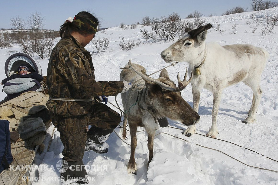 День рождения села Анавгай на Камчатке. Фотоподборка. Фото: архив/Виктор Гуменюк. Фотография 13