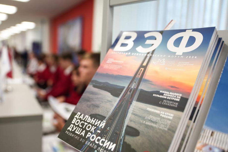 На XI Восточном экономическом форуме открылась выставка «Улица Дальнего Востока». Фото: Константин Карпов, Анатолий Стребелев, Александра Терлецкая. Фотография 14