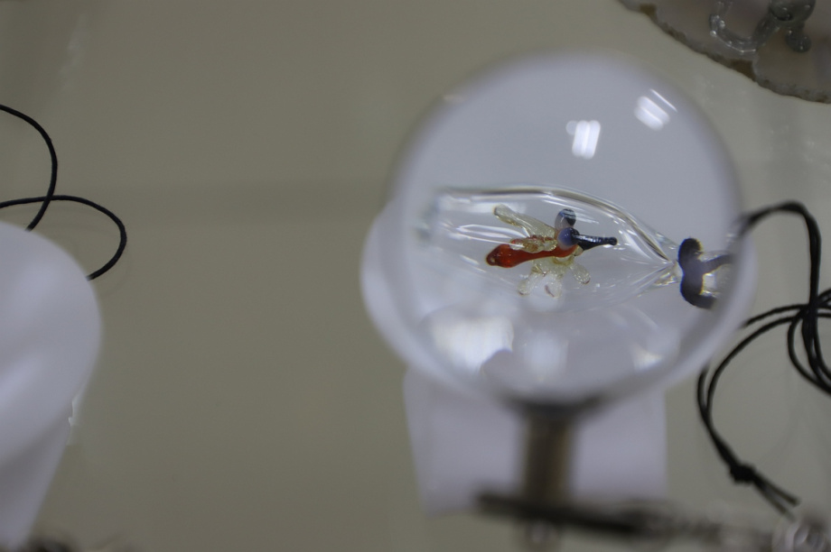 Выставка "А жизнь продолжается" открылась в художественном музее на Камчатке. Фоторепортаж. Фото: В. Гуменюк. Фотография 5