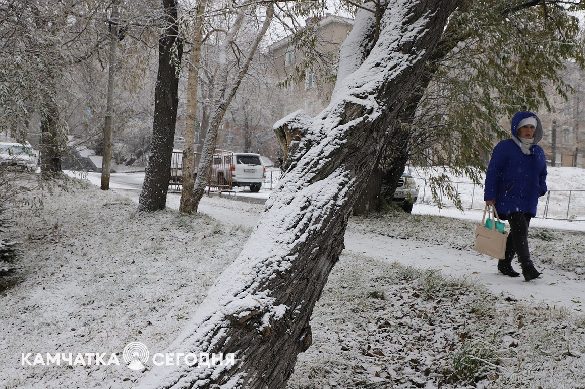 Первый снег выпал в столице Камчатки. Фоторепортаж. Фото: Виктор Гуменюк\ИА "Камчатка". Фотография 11