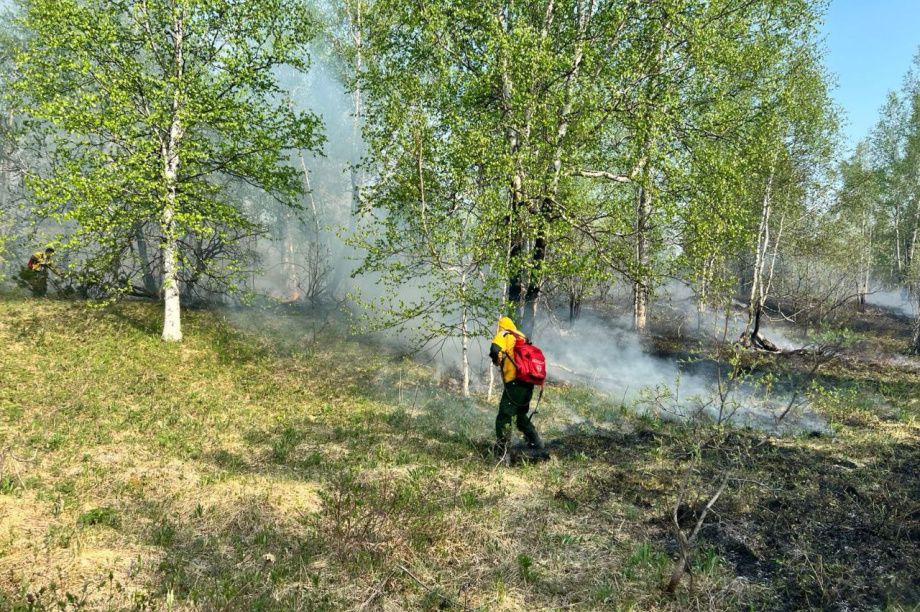 Камчатские пожарные в Мильковском районе победили огонь на площади более 5 Га. Фото: министерство по чрезвычайным ситуациям Камчатского края. Фотография 2