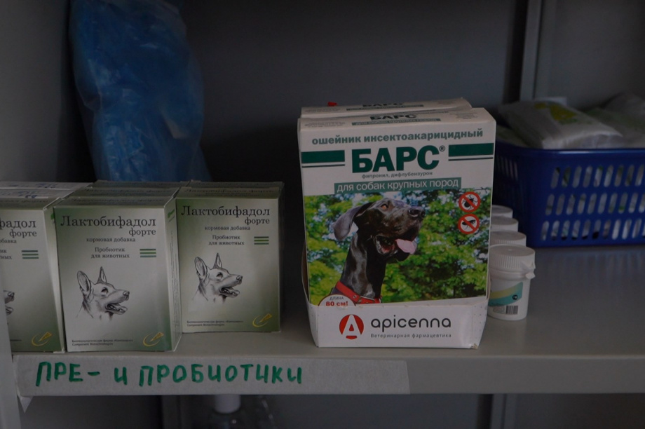 Зарубежные ветеринарные препараты на камчатском рынке заменили российскими аналогами. 