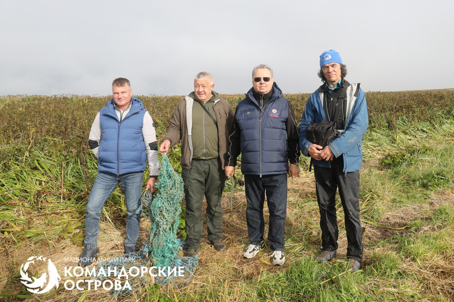 На Командорах гости помогли спасти трёх щенков морского котика из сетей. . Фотография 2