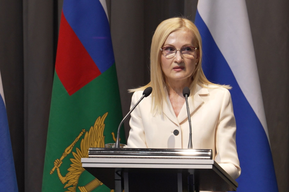 Ирина Яровая: Единство власти и правовой системы должны быть синхронизированы. . Фотография 4