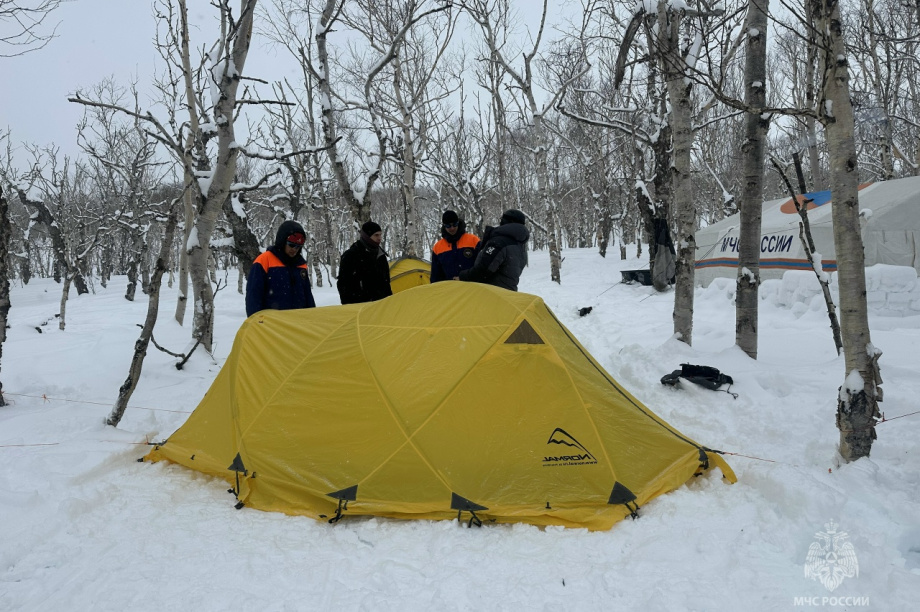 Спасатели МЧС водрузили флаг на вершине Ключевской Сопки на Камчатке. Фото: ГУ МЧС России по Камчатскому краю. Фотография 7