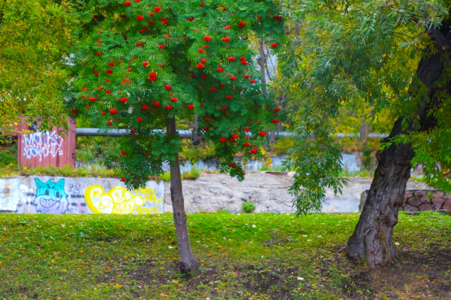 Петропавловск-Камчатский в октябре. Фоторепортаж. Фото: Виктор Гуменюк. Фотография 7