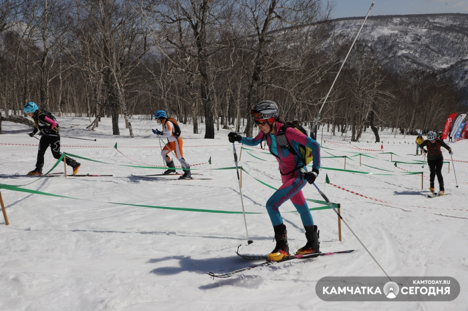 Ски-альпинисты завешают сезон. Фото: Виктор Гуменюк / информационное агентство "Камчатка". Фотография 21