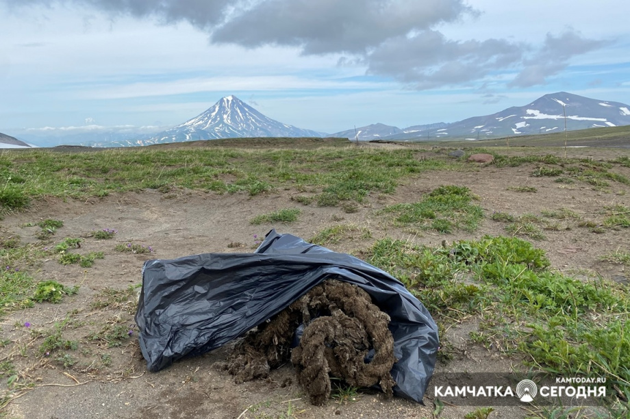 Субботник на Горелом. Фото: Мария Волкова / информационное агентство "Камчатка". Фотография 4
