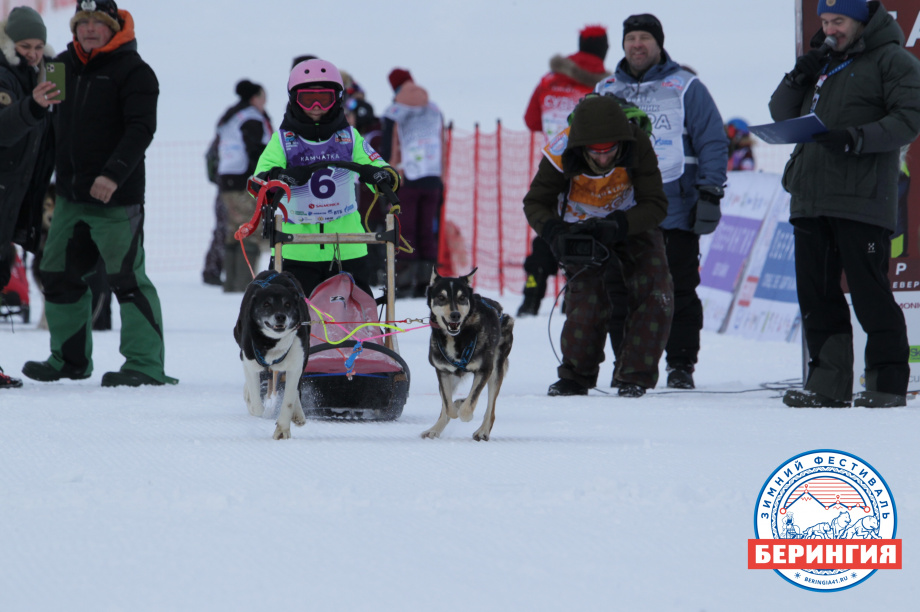 На Камчатке стартовала детская гонка на собачьих упряжках «Дюлин-2021». Фото: Виктор Гуменюк. Фотография 4