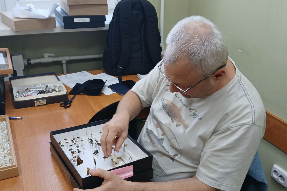 Научные исследования заповедников «Кроноцкий» и «Заповедная Мордовия»: сотрудничество на благо природы. Фото: пресс-служба «Кроноцкий государственный заповедник». Фотография 6