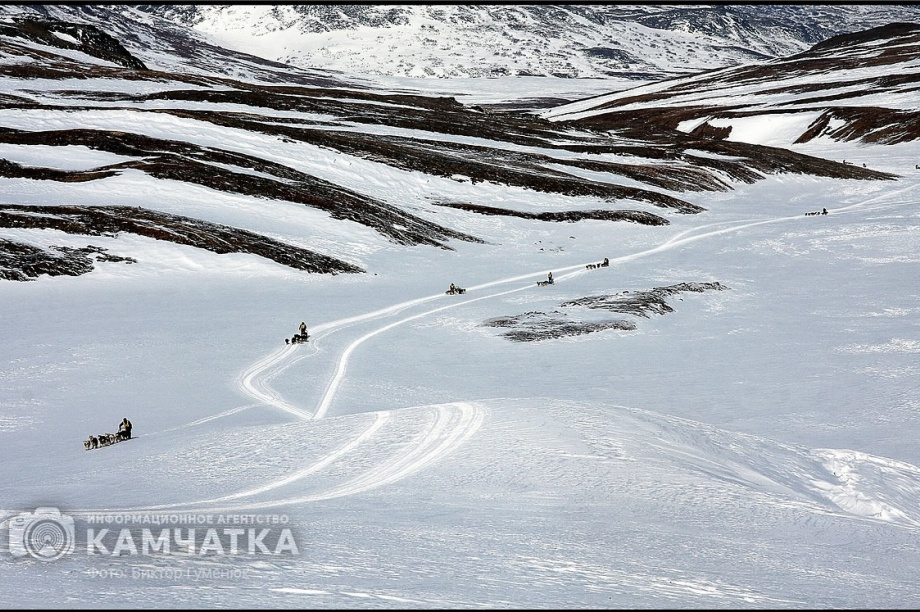 Всемирный день фотографии отмечает Камчатка. Фото: Виктор Гуменюк. Фотография 43