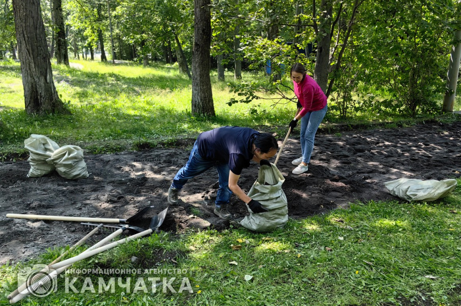 Молодежный субботник прошел в детском парке Петропавловска. фото: ИА "Камчатка". Фотография 9