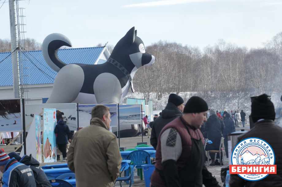 «Берингия-2021». Фото: Виктор Гуменюк. Фотография 11