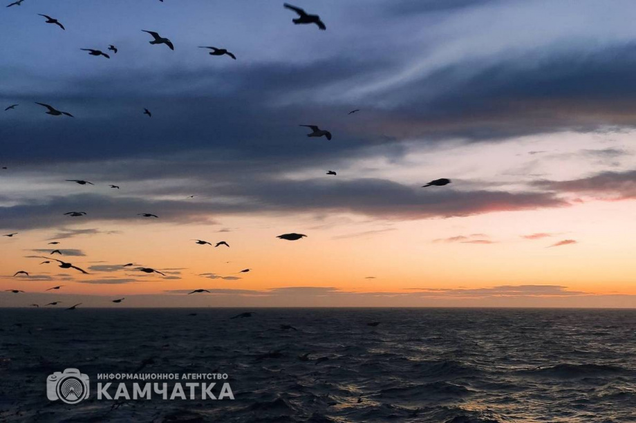 Спасатели на Камчатке ищут мотобот с тремя людьми. Фото: Сергей Коргун
